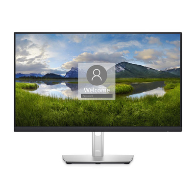 Dell Monitor 24-inch (P2422H)